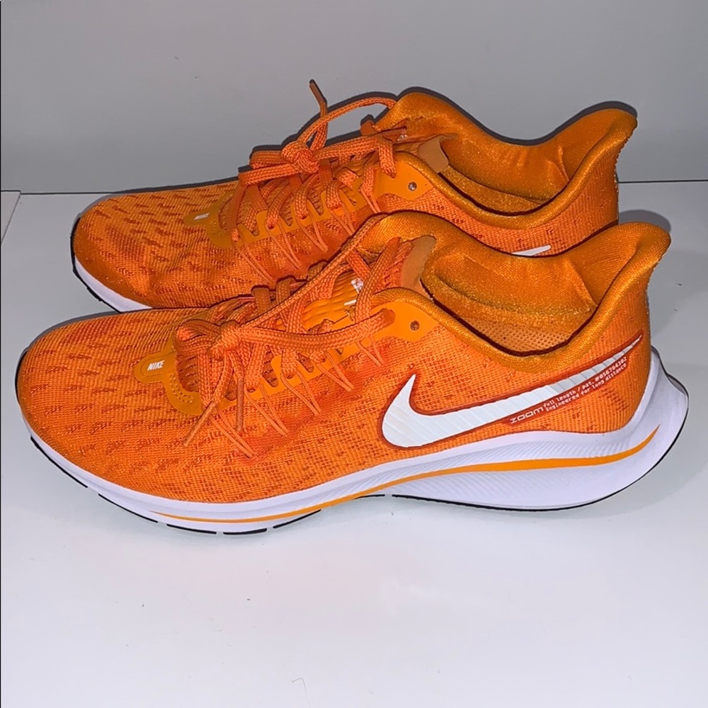 Never Worn Nike Pegasus